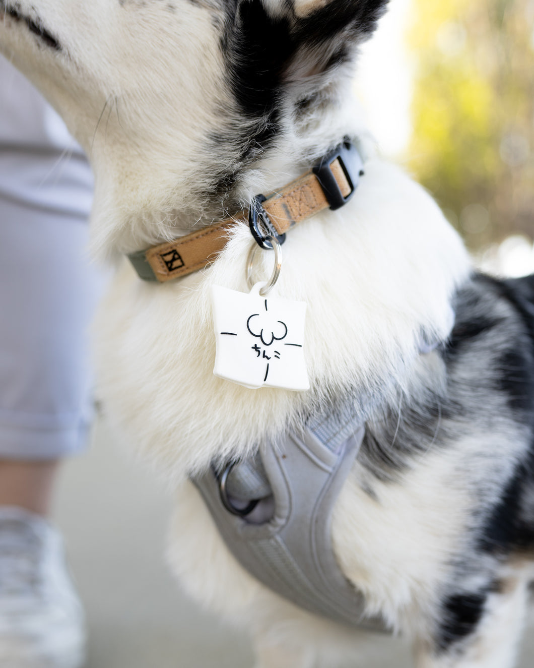 ╰⋃╯Air Tag Cover